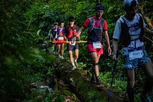 BIB: 
                            <button type="button" onclick="openModal(18922752)" class="btn btn-primary btn-sm float-right btn-popup" data-toggle="modal" data-target=".modal-high-quality">
                        <i class="fas fa-shopping-cart"></i> Add to Cart
                    </button>
                                            <button type="button" onclick="isThisMe(18922752, true)" class="btn btn-success btn-sm float-right btn-popup btn-isme hidden" data-toggle="tooltip" data-placement="bottom" title="นี่คือรูปของคุณใช่ไหม คลิกที่นี่เพื่อเอาเข้าอัลบั้ม">
                        <i class="fas fa-plus"></i> Add to album
                    </button>
                    <button type="button" onclick="isThisMe(18922752, false)" class="btn btn-warning btn-sm float-right btn-popup btn-isnotme hidden">
                        <i class="fas fa-ban"></i> Remove from album
                    </button>